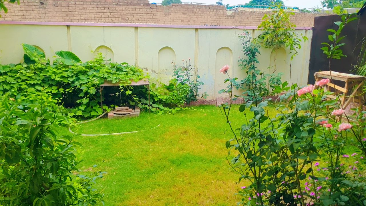 Universal Girls Hostel