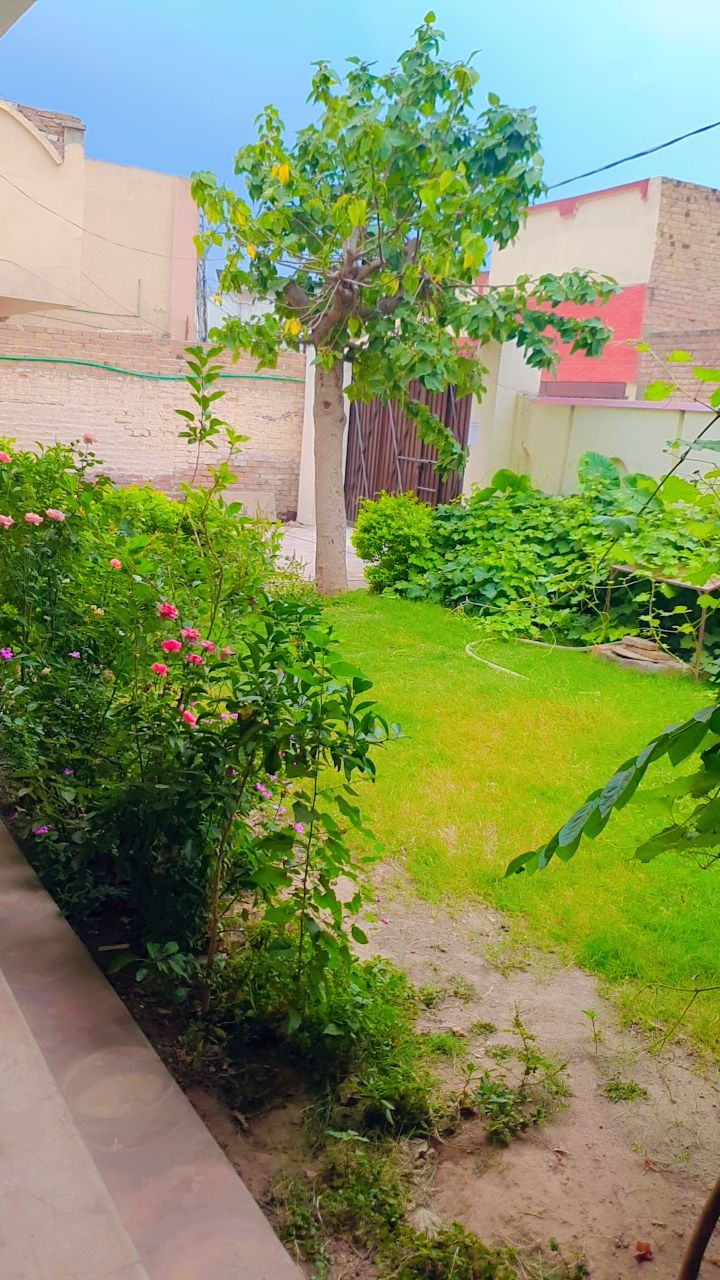 Universal Girls Hostel